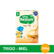 NESTUM BLProb Iron+TrigoMiel 200g